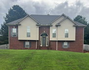235 Brookside Lane, Odenville image