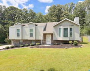 329 Willow Glen Court, Alabaster image