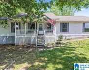700 Fairview Road, Baileyton image