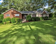716 Downs Avenue, Gardendale image