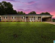 380 Jerry Marsh Road, Locust Fork image