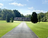 2145 Golf Course Road, Pell City image