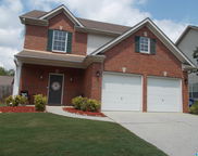 2229 Forest Lakes Lane, Sterrett image