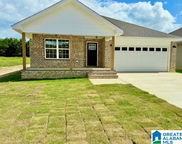 1006 Spring View Lane, Clanton image