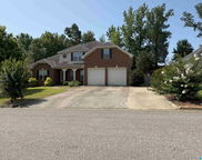 4616 Brook Highland Lane, Tuscaloosa image