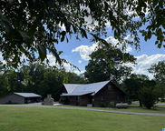 7046 Wolf Creek Road, Pell City image