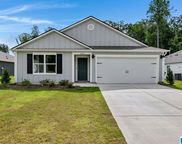 853 Fish Camp Road, Chelsea image