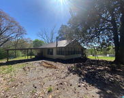 2590 Levine Road, Odenville image
