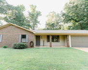 11235 Marion Oaks Drive, Tuscaloosa image