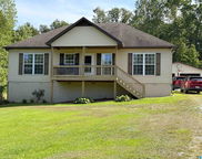 91 Briarfield Road, Warrior image