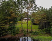 6130 Spunky Hollow Road, Locust Fork image