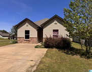 539 Kincaid Cove Lane, Odenville image