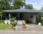 9720 Westfield Place, Birmingham image