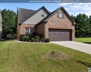 411 Glen Cross Way, Trussville image