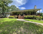 184 Sequoyah Road, Pell City image