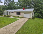 1151 Annie Lee Road, Trussville image