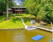 293 Misty Lane, Wedowee image