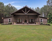 160 County Road 363, Crane Hill image