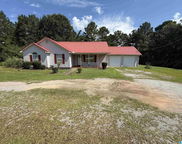 439 County Road 356, Clanton image