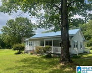 1409 23rd Street, Pell City image