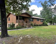 1255 Long Leaf Trail, Warrior image