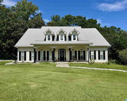 12682 Woodland Lake Road, Mccalla image