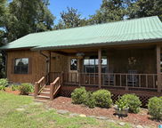 26718 Bridge Lane, Andalusia image