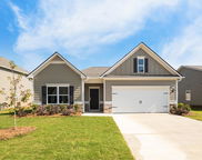 620 Pine Valley Trail, Columbiana image