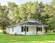 964 Pinedale Road, Clanton image