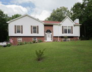 13339 Sylvia Drive, Lake View image
