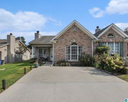 308 Coales Branch Circle, Pelham image