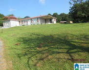 3291 Shoal Creek Road, Ashville image
