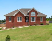 11445 Meads Drive, Mccalla image