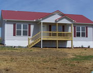 345 Cox Cove Road, Hayden image