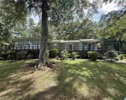 706 Berkley Drive, Pell City image