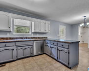 6266 Spring Hollow Road, Gardendale image
