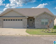 1005 Spring View Lane, Clanton image