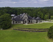 584 Meadow Lake Farms, Calera image