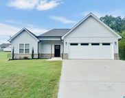 830 New Style Circle, Clanton image