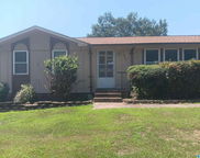 7840 Robbins Circle, Dora image