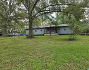 2185 Mineral Springs Road, Pell City image