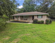 9999 Lock 17 Road, Adger image