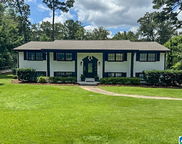 3240 Mockingbird Lane, Hoover image