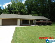 14293 Longview Drive, Coker image