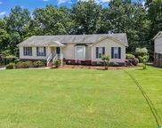 110 Georgia Manor Lane, Trussville image