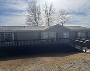 135 Big Troll Road, Adger image