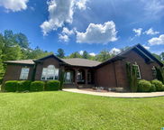1060 Lovejoy Road, Ashville image
