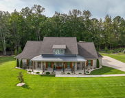 642 Lime Creek Way, Chelsea image