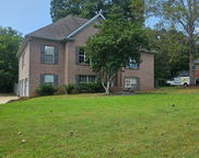 205 Camellia Drive, Chelsea image