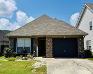 2507 Forest Lakes Lane, Sterrett image